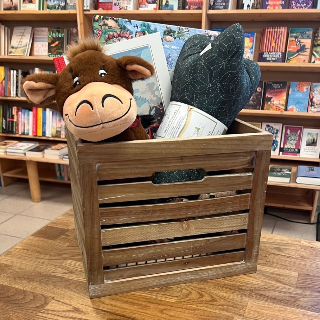 Beispielbild für eine Geburtstags- oder Wunschkiste, die in den Bücherträumen in Mülheim an der Ruhr zusammengestellt werden kann. Die Kiste auf dem Bild enthält verschiedene Artikel wie ein Kuscheltier, einen Leseknochen und Bücher